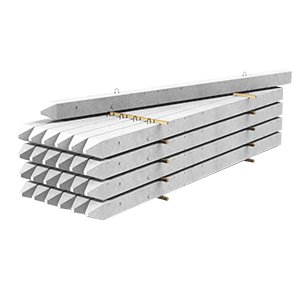 Палі забивні